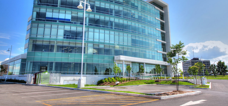 commercial glass door repair Pinewood