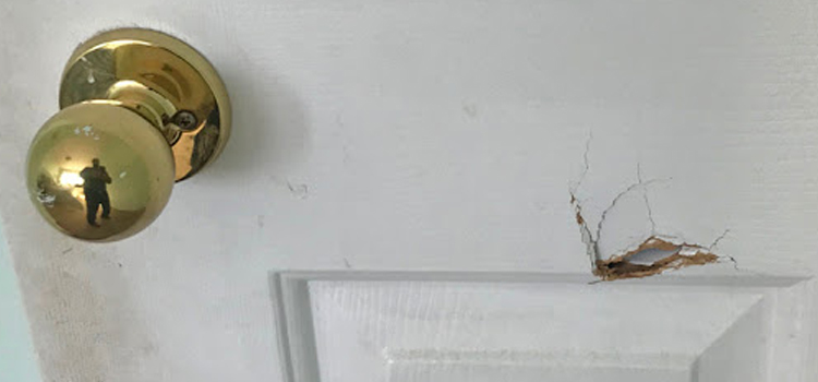 interior door hole repair Pinewood
