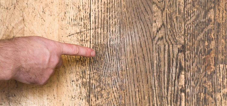 Wood Door Scratch Repair in Pinewood