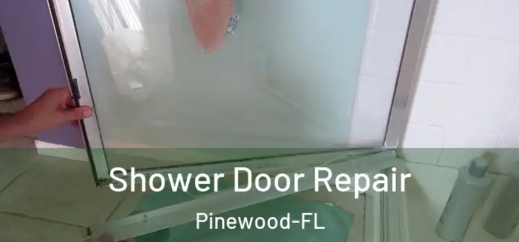  Shower Door Repair Pinewood-FL
