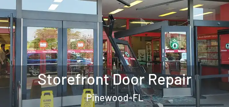  Storefront Door Repair Pinewood-FL